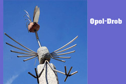 Opol-Drob – O firmie